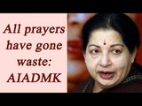 Jayalalithaa Death: Why AIADMK won’t be the same party  Amma | Oneindia News