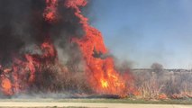 Colorado Firefighters Battle Extreme Conditions with Brush Fire
