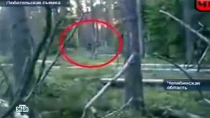 3 τρομακτικές στενές επαφές με τον θρυλικό... μεγαλοπόδαρο! Δείτε και κρίνετε αν πρόκειται για αλήθεια ή ψέμμα!