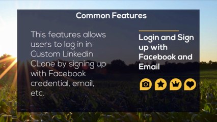 Common Features for Custom Linkedin Clone