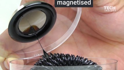 Amazing Video Of  Magnets Morphing Liquid