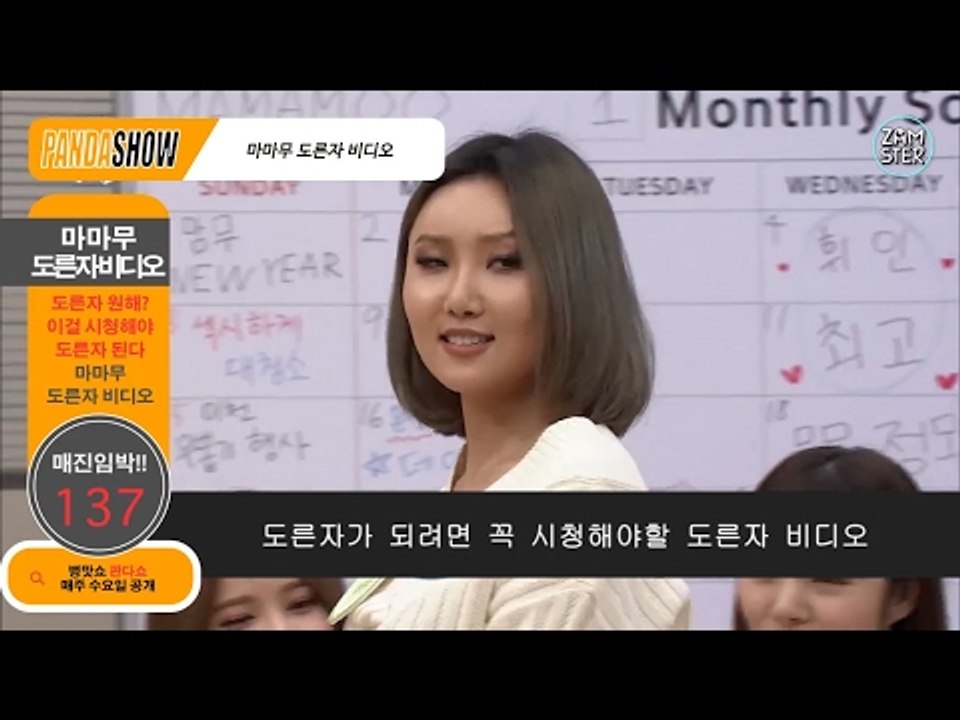 [약빤영상] 마마무 도른자 비디오 팝니다 [판다쇼 33회] #잼스터