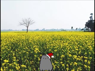 Why Nothing Will Happen to United Airlines