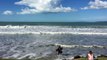 Paradise! Top10 beaches in New Zealand. Orewa Beach, Akld New Zealand, thanks to Cyclone Pam!