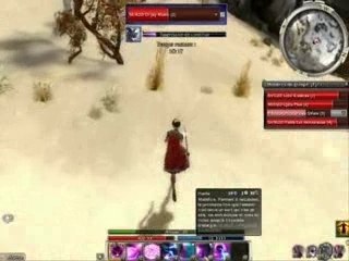 Guild Wars : Guide de l'Envouteur