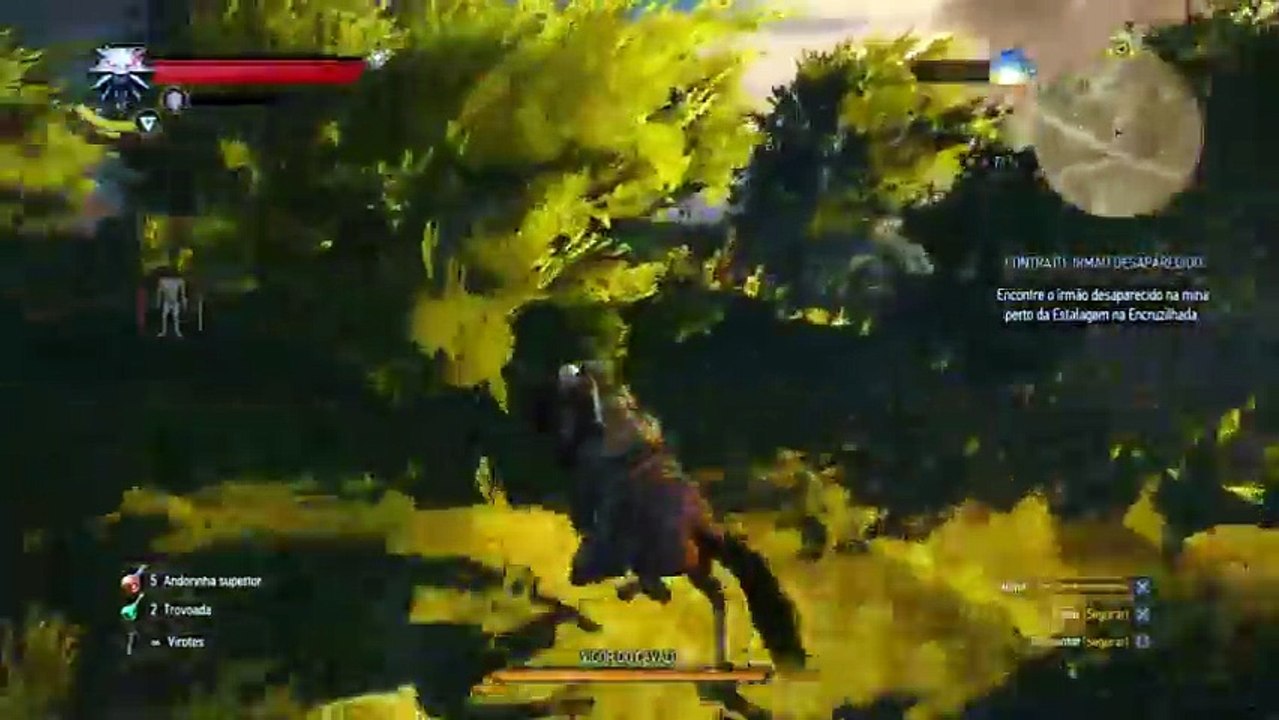 The witcher 3 (22)