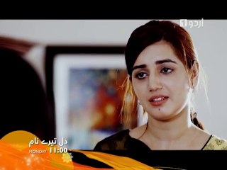 Dil Tere Naam Promo Episode 14