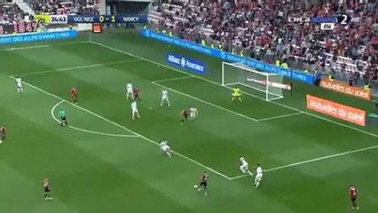 Mickael Le Bihan Fantastic GOAL | Nice 1-1 Nancy - 15.04.2017 HD