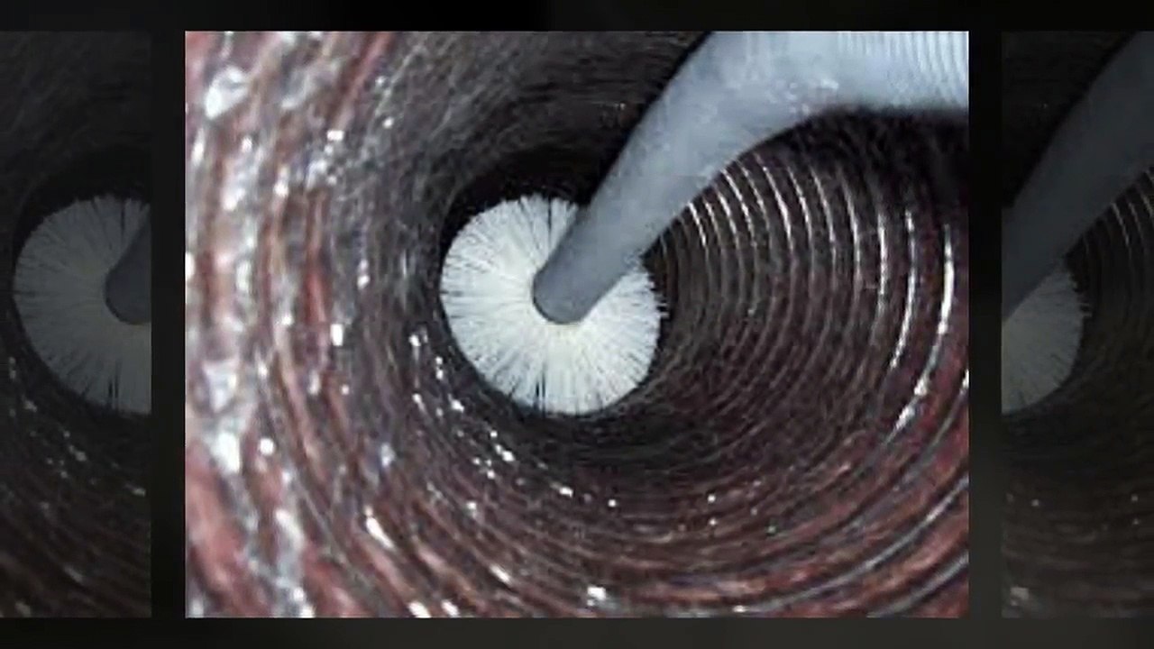 Favorite Carpet Cleaning