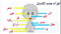 اجزاء الجسم للأطفال تعلم أسماء اعضاء جسم الإنسان Body Parts For