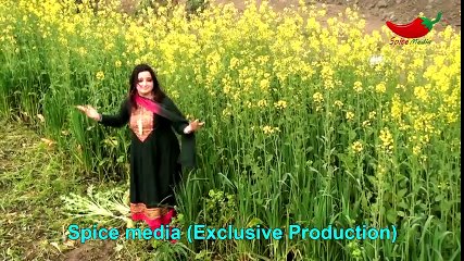Pashto New Songs 2017 Sitara Younas - Tappey