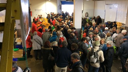 Fête de la coquille