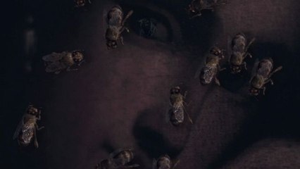 Babasonicos - Muñeco de Haití - Parte 2: Jaula