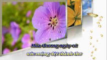 [Karaoke] NẾU TA ĐỪNG QUEN NHAU - Huỳnh Anh