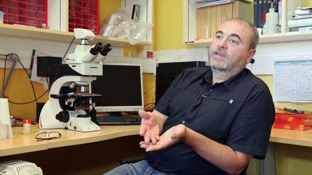 Tourbières > 6. Des archives paléo-environnementales