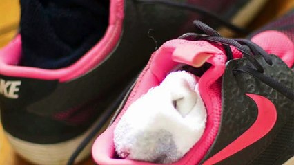 3 Ways to Pack Smarter