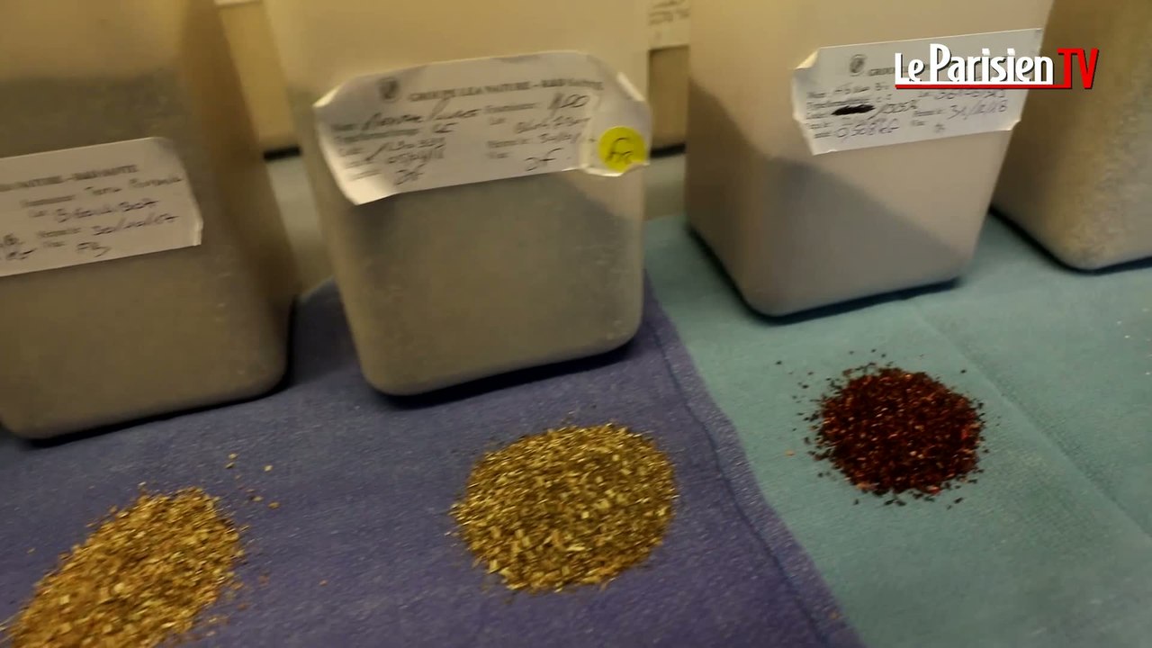 Les secrets de fabrication de la tisane détox
