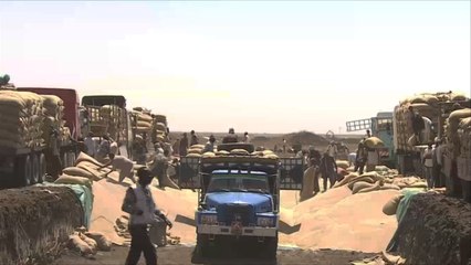 تخزين الذرة بأساليب تقليدية لضيق مساحة صوامع الغلال بالسودان