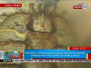 Pagong, pinagkaguluhan dahil sa imahe umano ng Sto. Niño sa shell nito