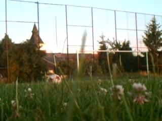 coup franc barre rentrante