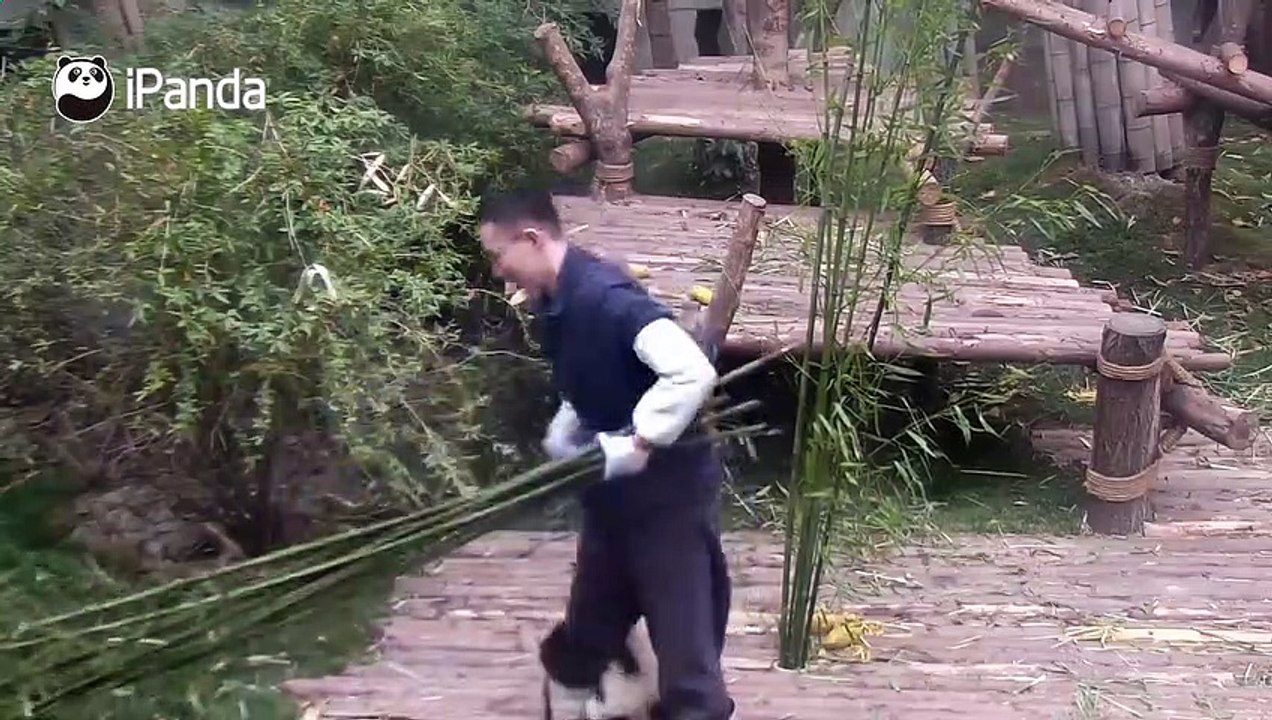 Il travaillait tranquillement dans l enclos pour animaux quand cette chose est venue lui attraper la jambe !