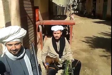 صعيدي مسك ولاده بيلعبوا دومينو و بيشربوا حشيش ضحك السنين