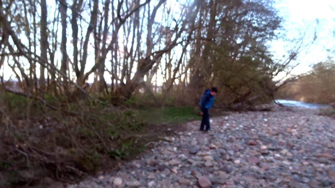 Bigfoot Spotted At Justinahaugh Next To Forfar
