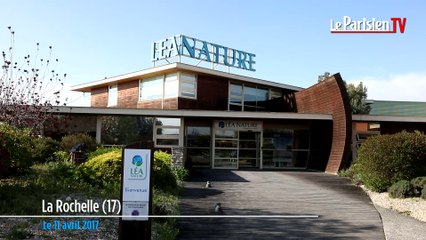 Léa Nature c'est 400 références Bio et 7 sachets de tisane produits à la seconde