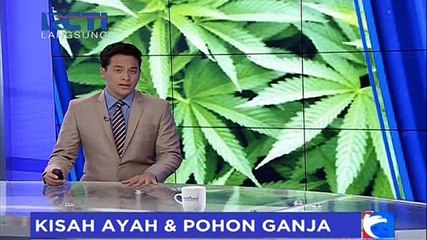 Tanam Ganja untuk Pengobatan Istri, Suami Ditangkap Polisi