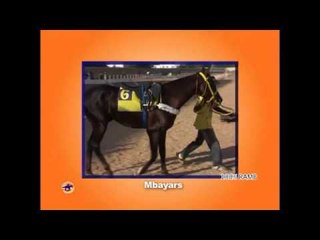 sangomar du 7 decembre 2013