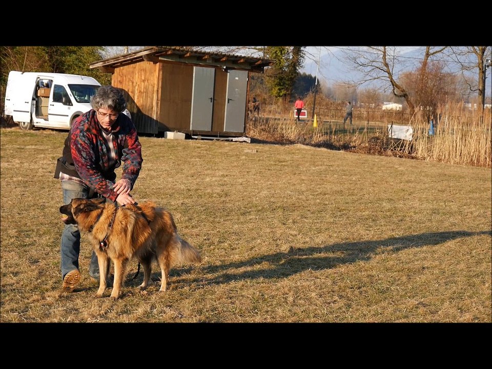 Jedaye essai harnais