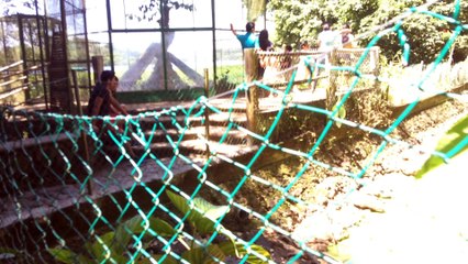 • Reserva ecológica Nanciyaga, catemaco, veracruz.