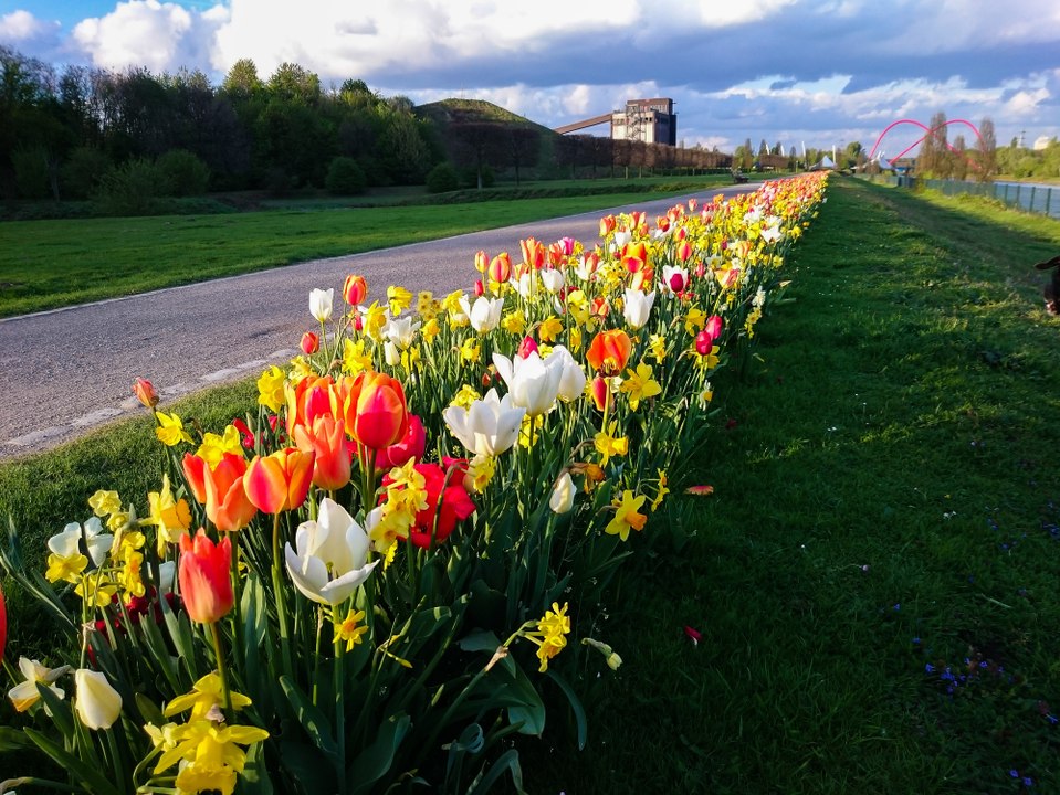 Hundespaziergang am Rhein-Herne-Kanal