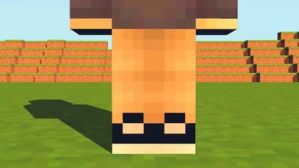 Animação Test Cinema 4D