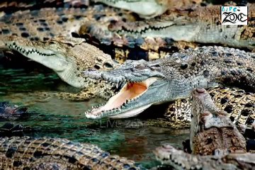 World Top Dangerous Places