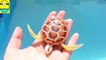 Toys review t Robo turtle. Turtle robot rofofish unboxing toys egg surpri