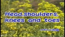 Head,Shoulders,knees,And Toes（からだあそびのうた）