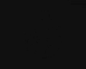 FineWorks Logo (Short Version)