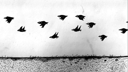 There's Too Many Of These Crows Trailer