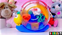 Vidéo jouet escargot musical Fisher Price boîte à forme : jeux d'éveil pour enfants et bébés