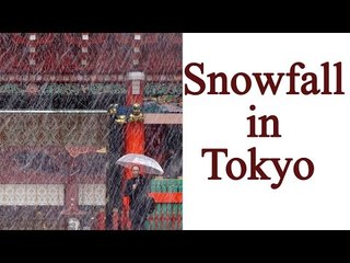 Tokyo hit by first November snow in 54 years | Oneindia News