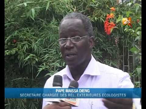 Les écologistes sont contre la construction d'une arène à Technopole