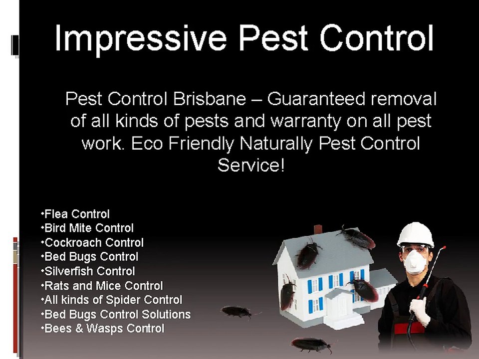 Pest_Controllers_in_Brisbane