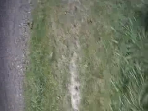 montdidier-city,les delires 2