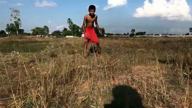 Wow! Three Brave Boys Catch Nasty Snake By Hand - How To Catch Nasty Snake In Cambodia