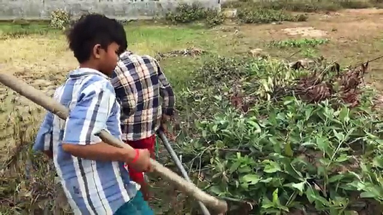 Wow! Two Amazing Boys Catch A Big Snake In Hole - How To Catch A Big Snake In Hole In Cambodia