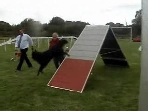 Concours agility Créole Mersuay