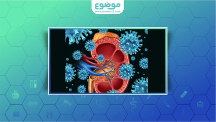 #موضوع: أسباب التبول الدموي