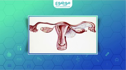 #موضوع: سمك بطانة الرحم