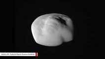 Saturn’s Ravioli-Shaped Moon Pan